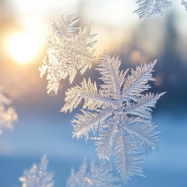 BAUFIX Eisblumenspray