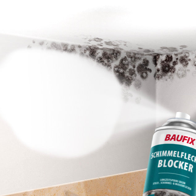 BAUFIX SCHIMMEL-FLECKEN-BLOCKER - Baufix Online Shop