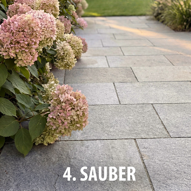 BAUFIX Grünbelagentferner Konzentrat - Baufix Online Shop