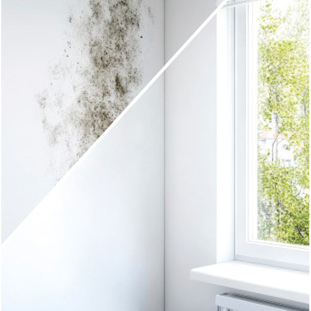 BAUFIX SCHIMMEL-FLECKEN-BLOCKER - Baufix Online Shop