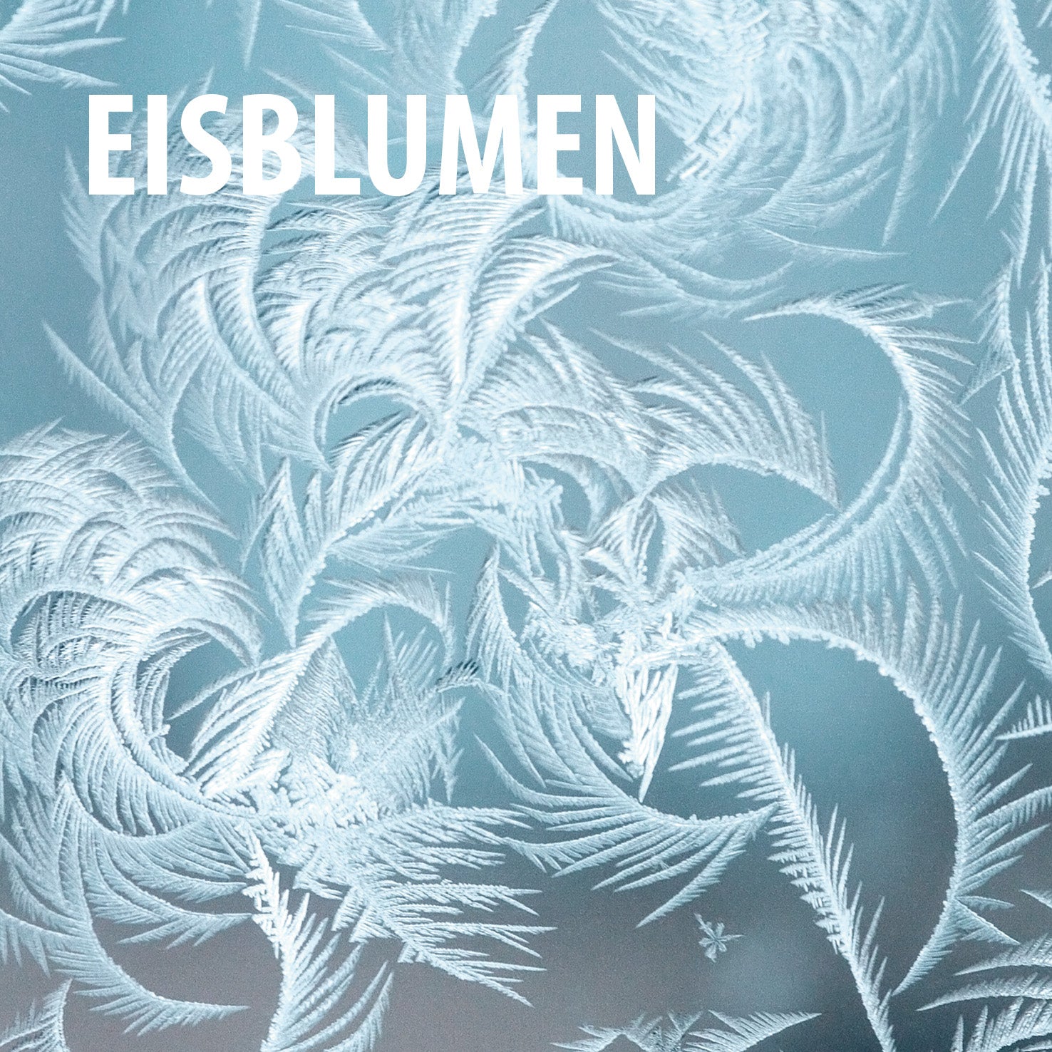 BAUFIX Eisblumenspray