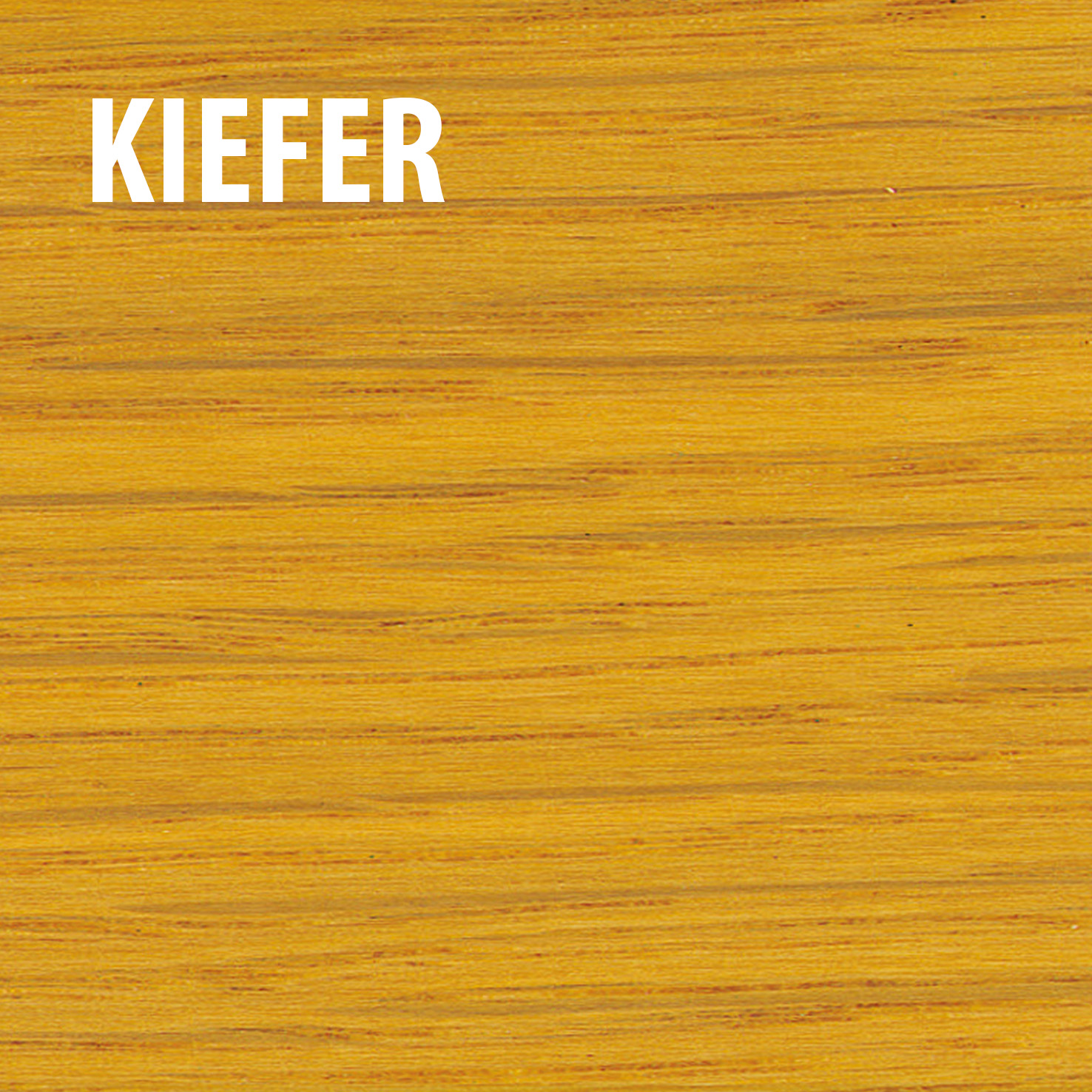 Farbton kiefer